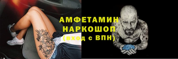 прущие грибы Дмитровск