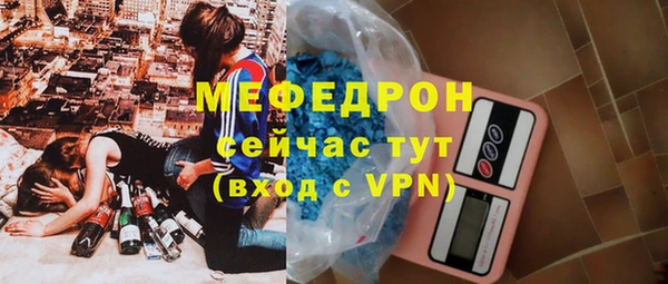 прущие грибы Дмитровск