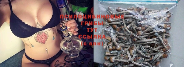 экстази Дмитров