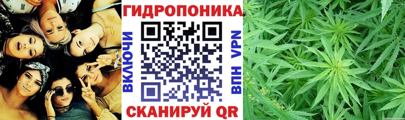 Купить закладки  Зеленодольск  Канабис семена 